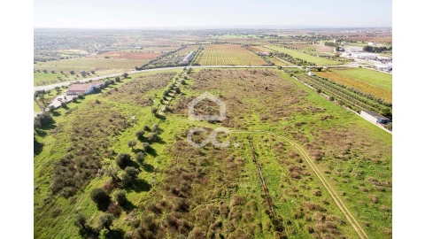 Terreno para Venda em Reguengos de Monsaraz