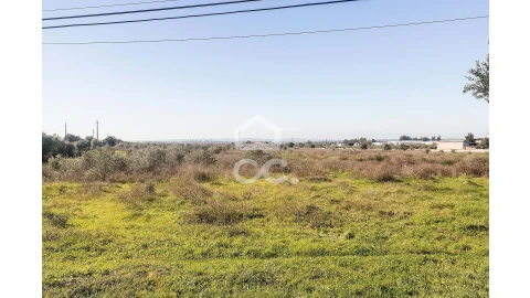 Terreno para Venda em Reguengos de Monsaraz