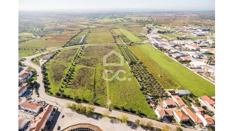 Terreno para Venda em Reguengos de Monsaraz