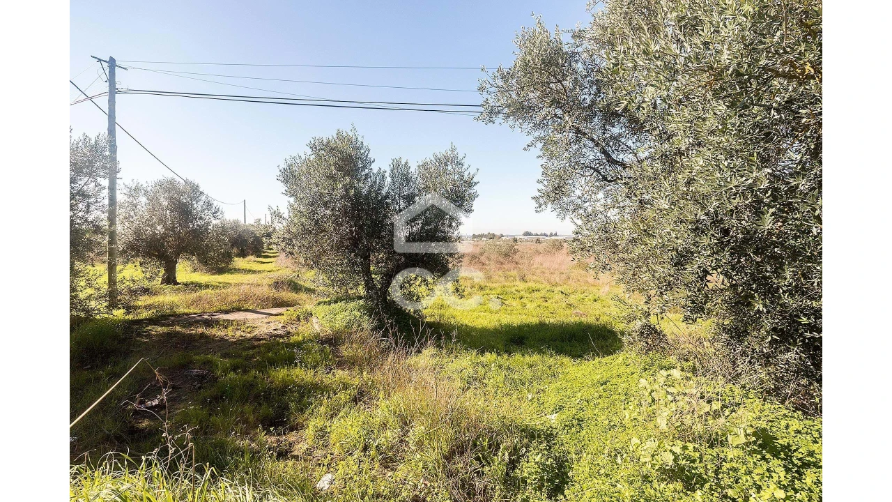 Terreno para Venda em Reguengos de Monsaraz Foto 4