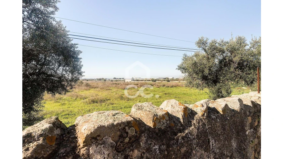 Terreno para Venda em Reguengos de Monsaraz Foto 8