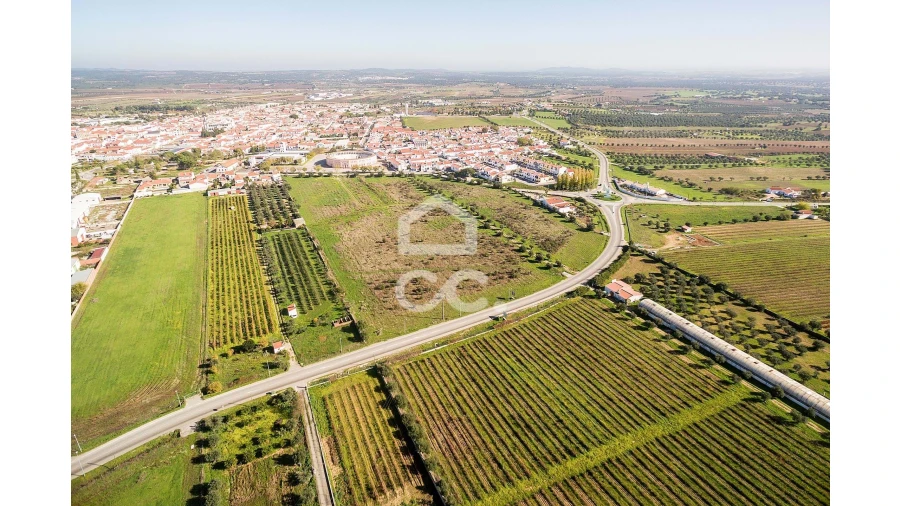 Terreno para Venda em Reguengos de Monsaraz Foto 15