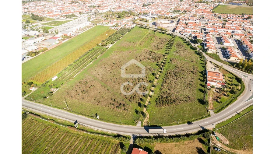 Terreno para Venda em Reguengos de Monsaraz Foto 3
