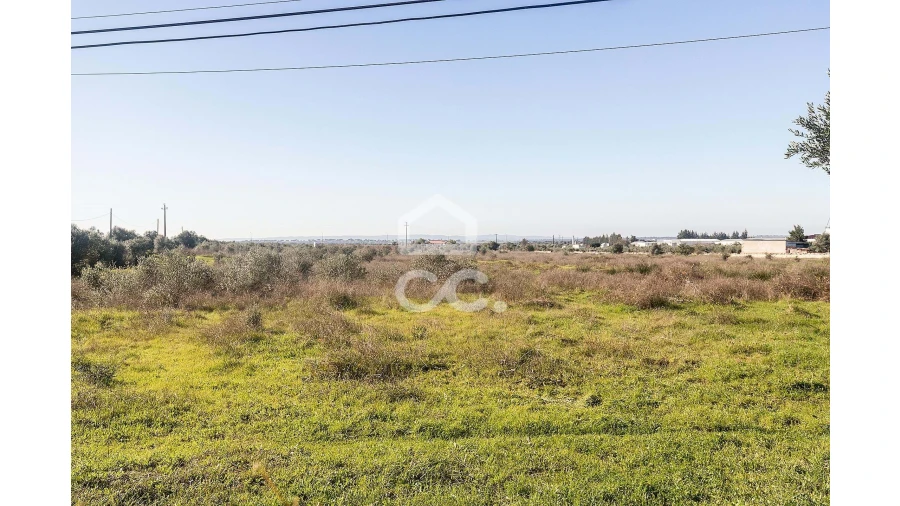 Terreno para Venda em Reguengos de Monsaraz Foto 9