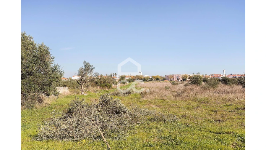 Terreno para Venda em Reguengos de Monsaraz Foto 12