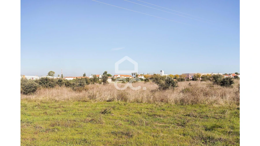 Terreno para Venda em Reguengos de Monsaraz Foto 11