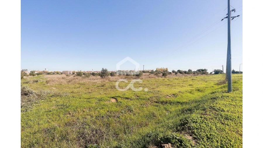 Terreno para Venda em Reguengos de Monsaraz Foto 5