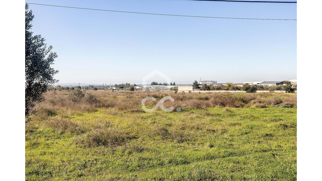 Terreno para Venda em Reguengos de Monsaraz Foto 7
