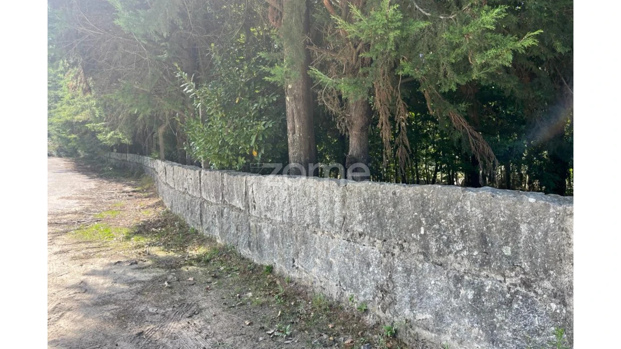 Terreno para Venda em Sanfins Lamoso Codessos Foto 2