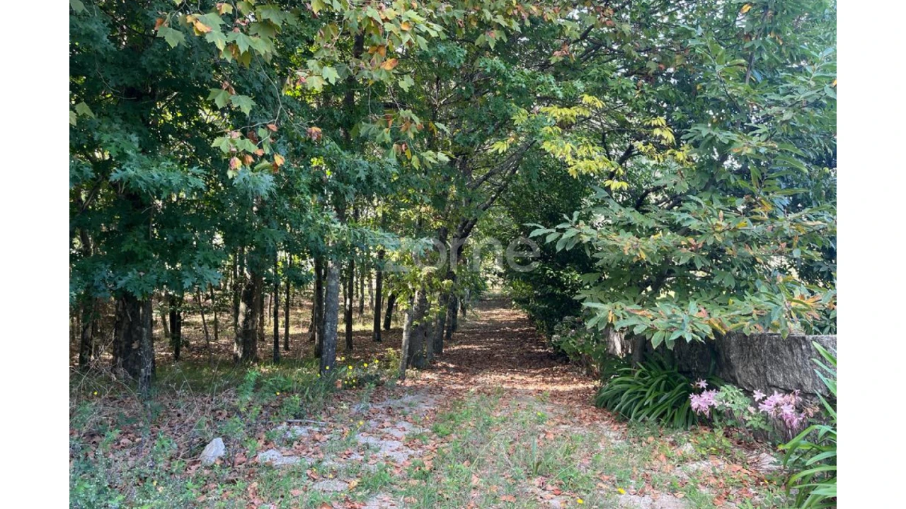 Terreno para Venda em Sanfins Lamoso Codessos Foto 5