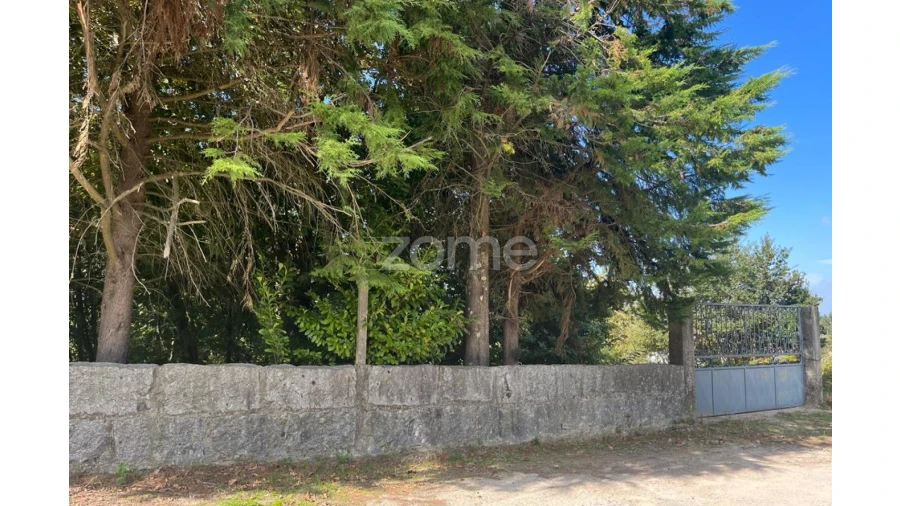 Terreno para Venda em Sanfins Lamoso Codessos Foto 4