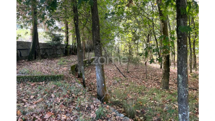 Terreno para Venda em Sanfins Lamoso Codessos Foto 1
