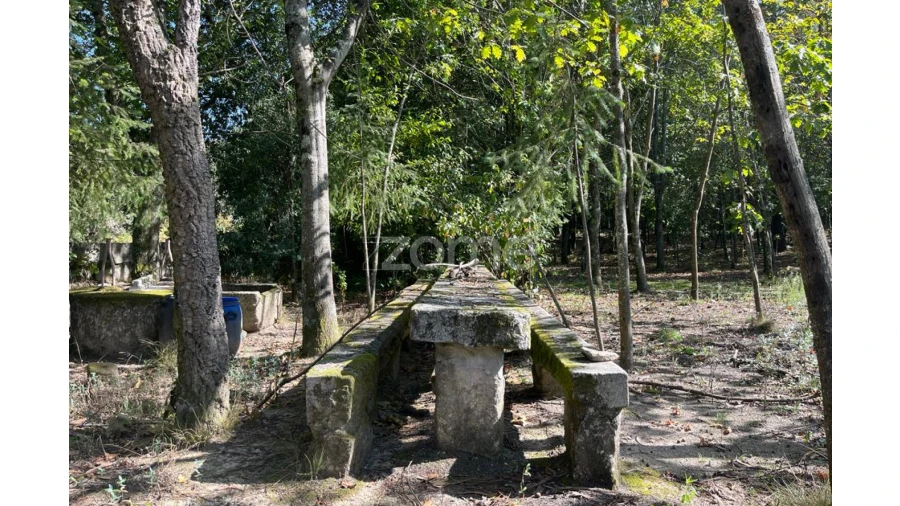 Terreno para Venda em Sanfins Lamoso Codessos Foto 10