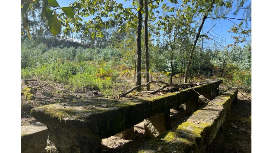 Terreno para Venda em Sanfins Lamoso Codessos Foto 13