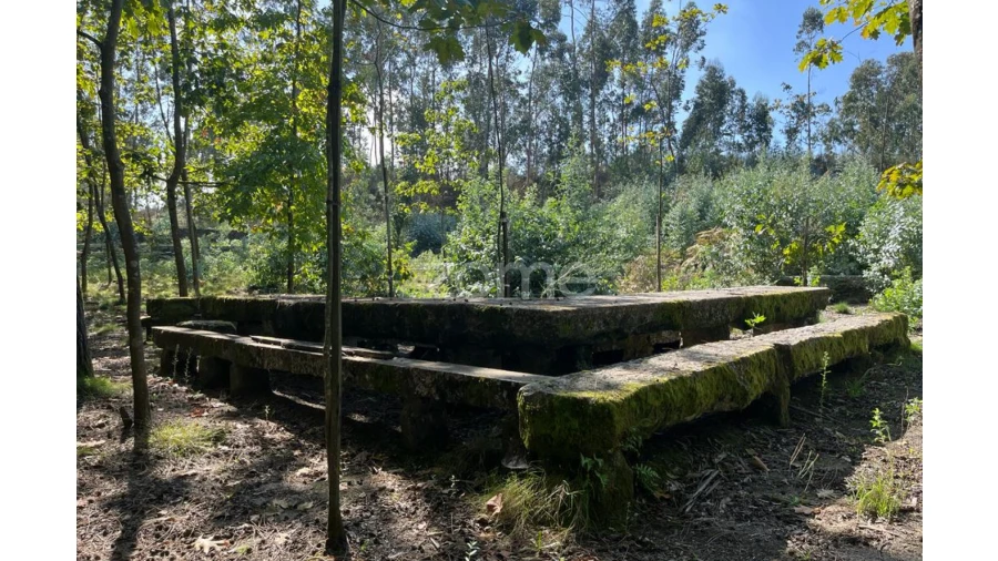 Terreno para Venda em Sanfins Lamoso Codessos Foto 15