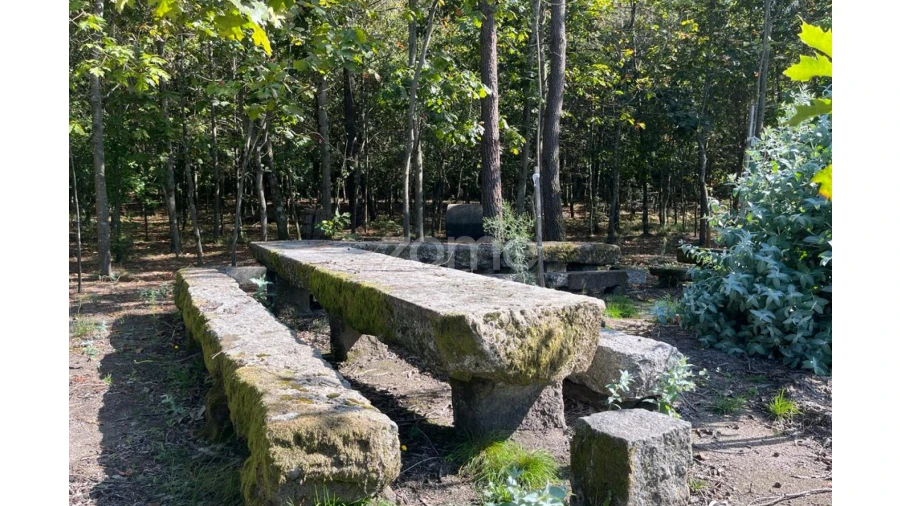 Terreno para Venda em Sanfins Lamoso Codessos Foto 16