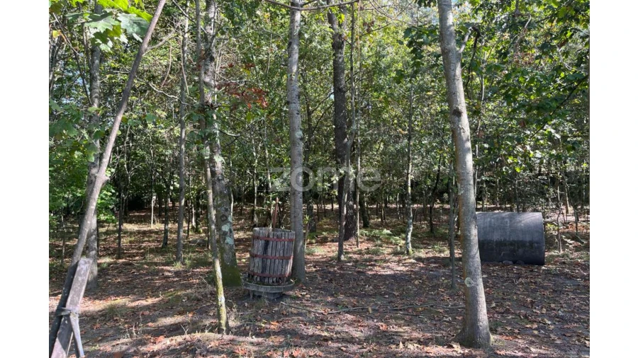 Terreno para Venda em Sanfins Lamoso Codessos Foto 18