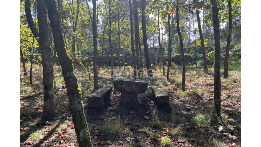 Terreno para Venda em Sanfins Lamoso Codessos Foto 20