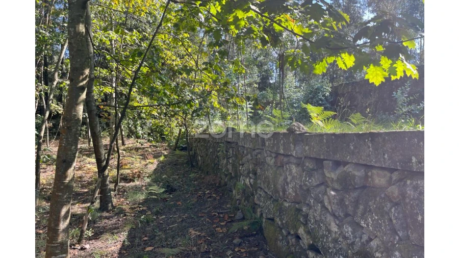 Terreno para Venda em Sanfins Lamoso Codessos Foto 21