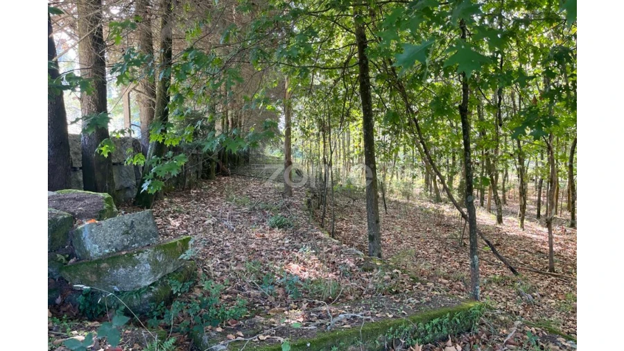 Terreno para Venda em Sanfins Lamoso Codessos Foto 24