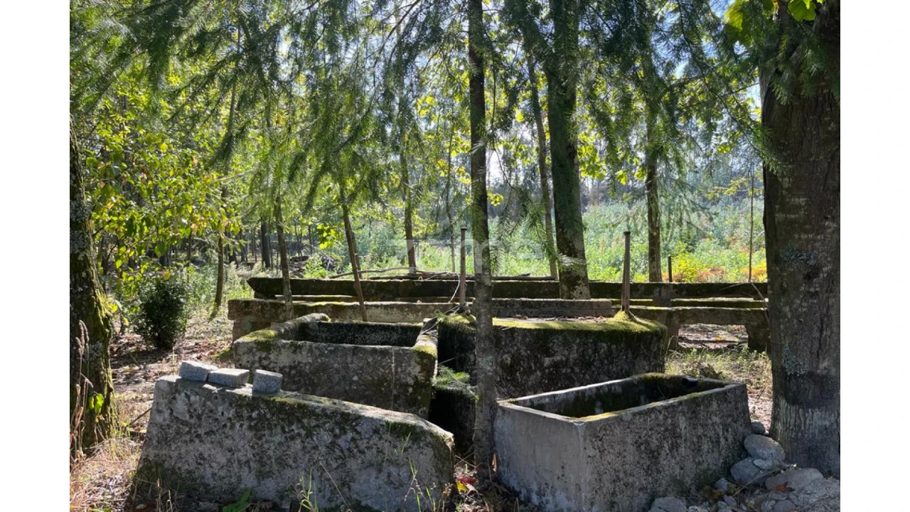 Terreno para Venda em Sanfins Lamoso Codessos Foto 12