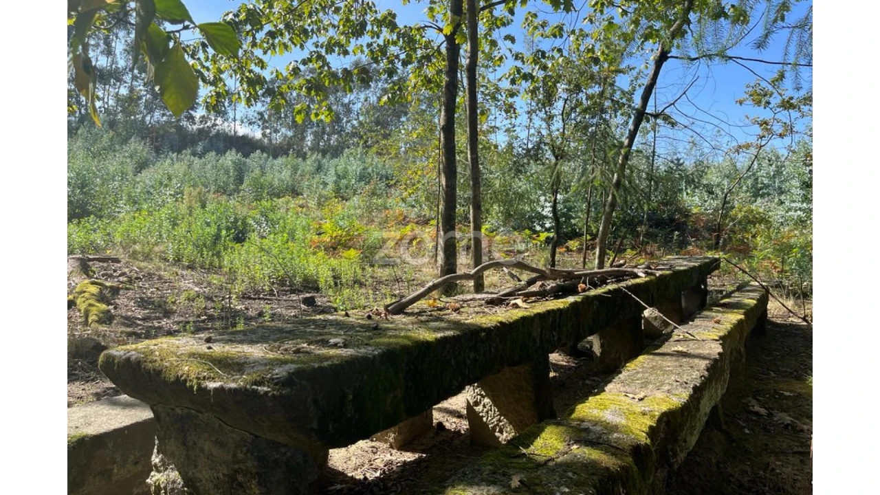 Terreno para Venda em Sanfins Lamoso Codessos Foto 13