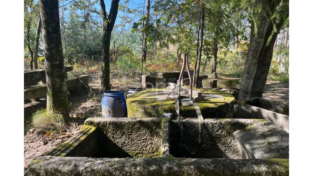 Terreno para Venda em Sanfins Lamoso Codessos Foto 14