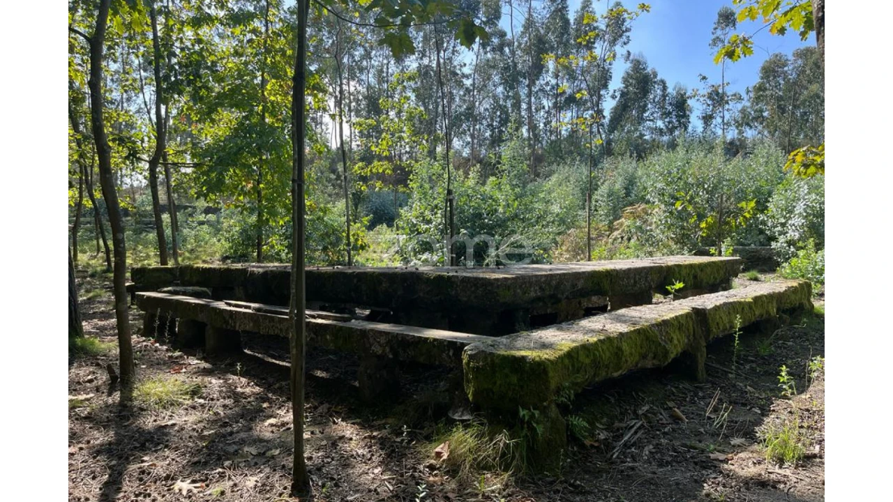 Terreno para Venda em Sanfins Lamoso Codessos Foto 15