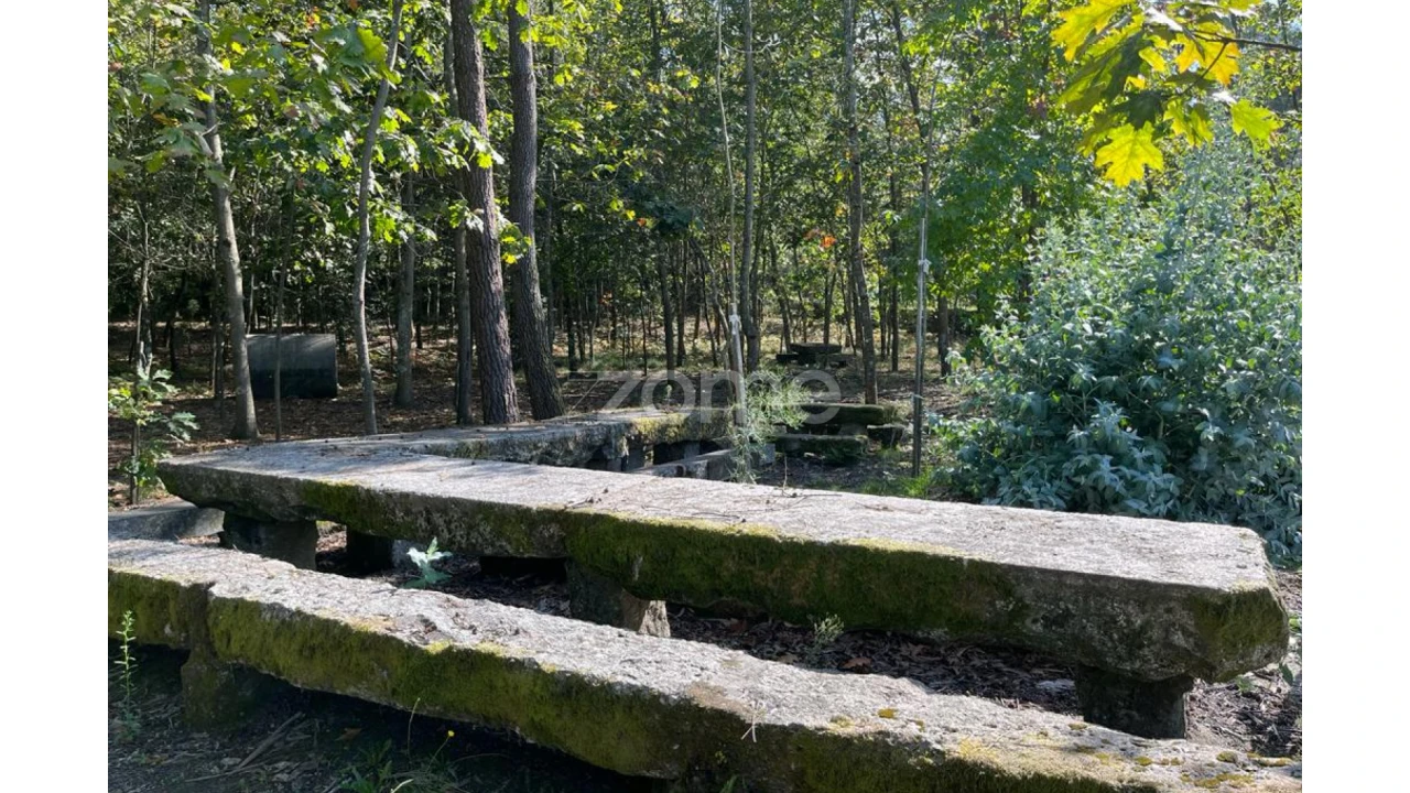 Terreno para Venda em Sanfins Lamoso Codessos Foto 17