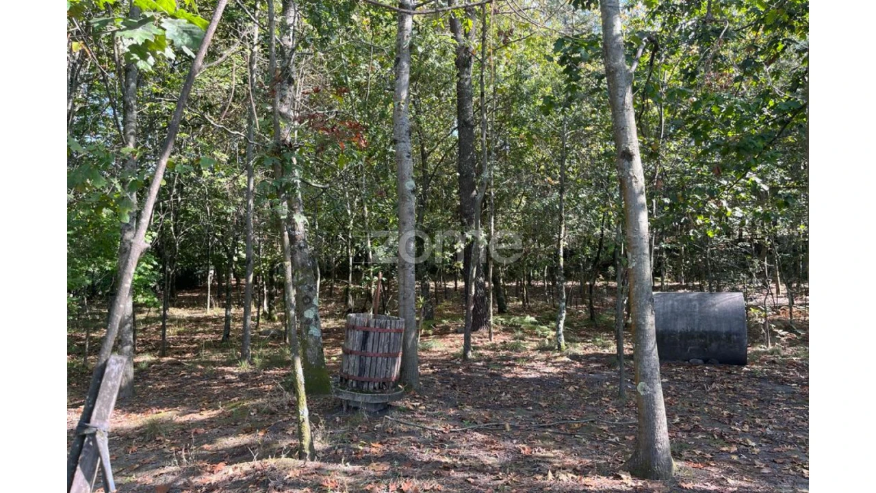 Terreno para Venda em Sanfins Lamoso Codessos Foto 18