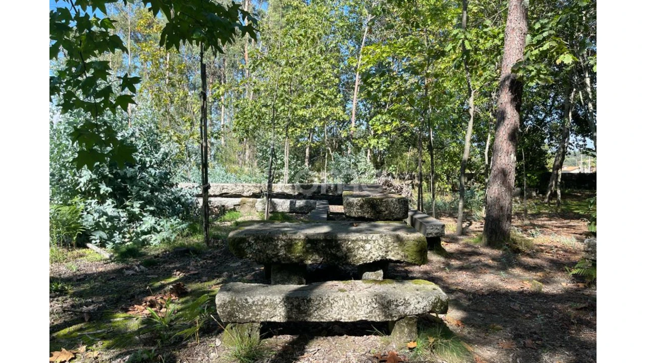 Terreno para Venda em Sanfins Lamoso Codessos Foto 19