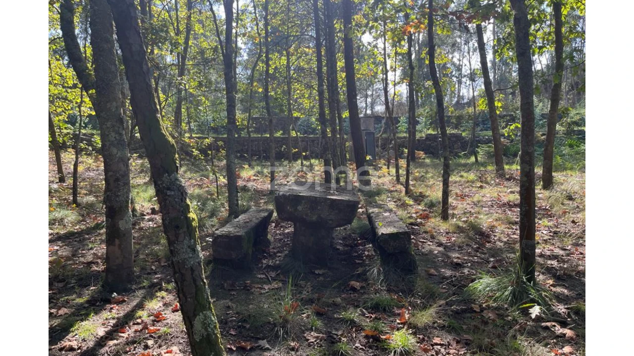 Terreno para Venda em Sanfins Lamoso Codessos Foto 20