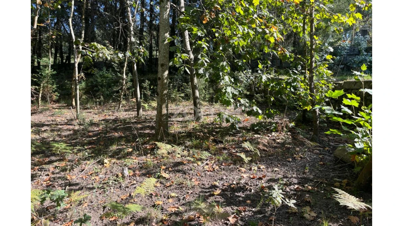 Terreno para Venda em Sanfins Lamoso Codessos Foto 22