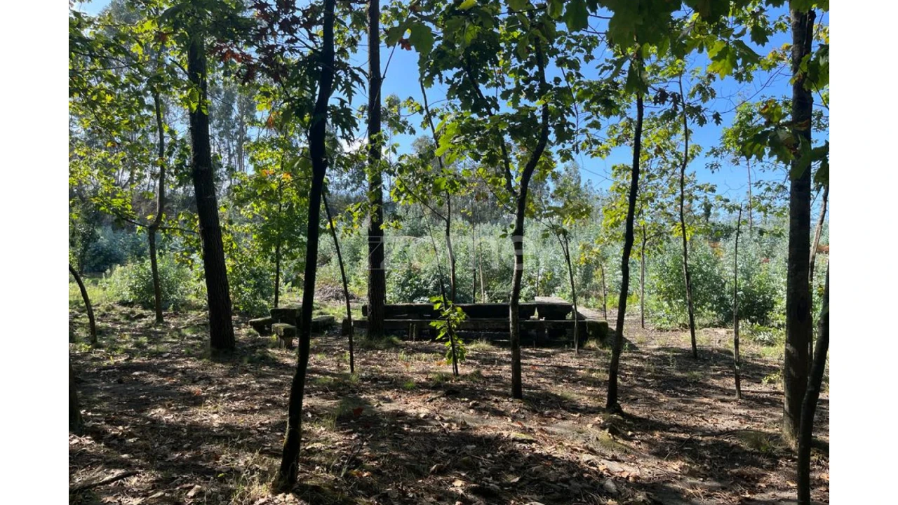 Terreno para Venda em Sanfins Lamoso Codessos Foto 23