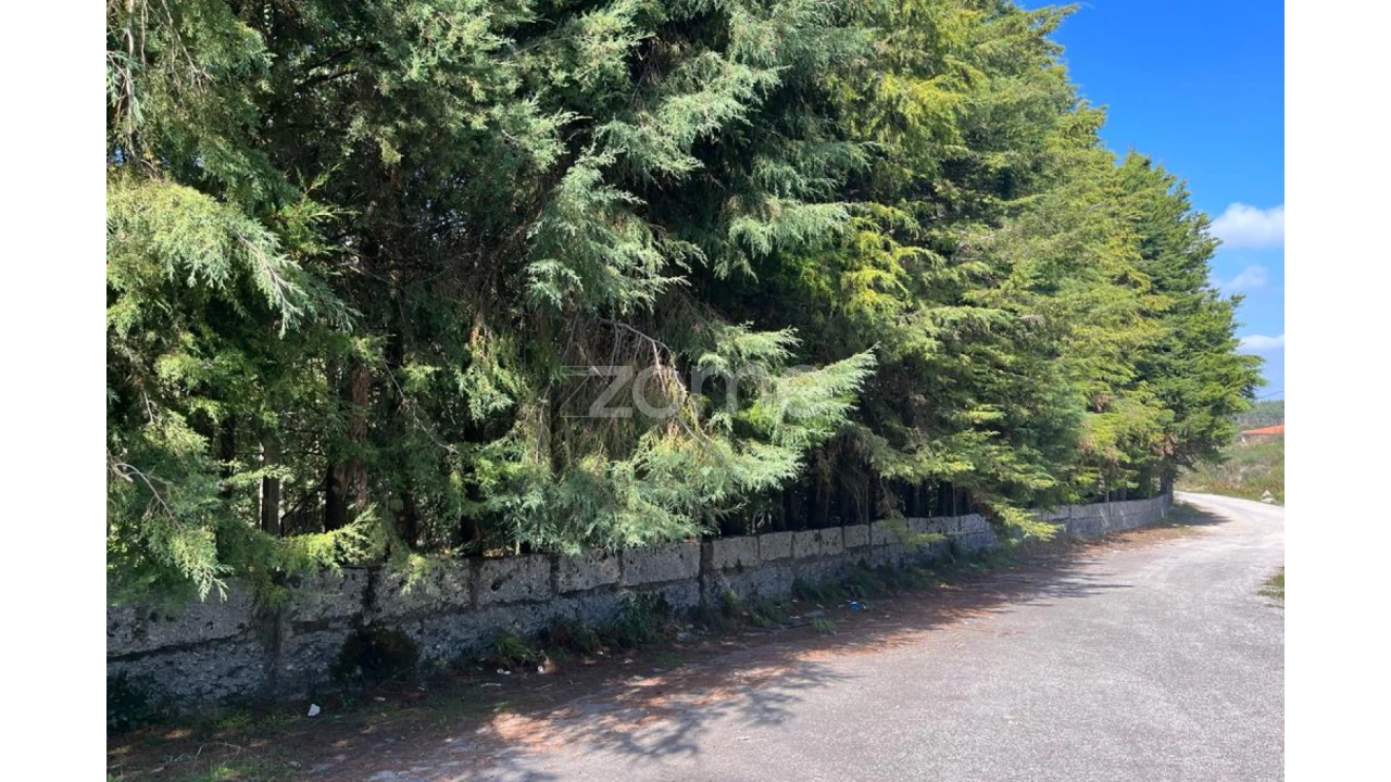 Terreno para Venda em Sanfins Lamoso Codessos Foto 25