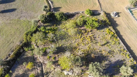 Terreno para Venda em Alhandra, São João dos Montes e Calhandriz