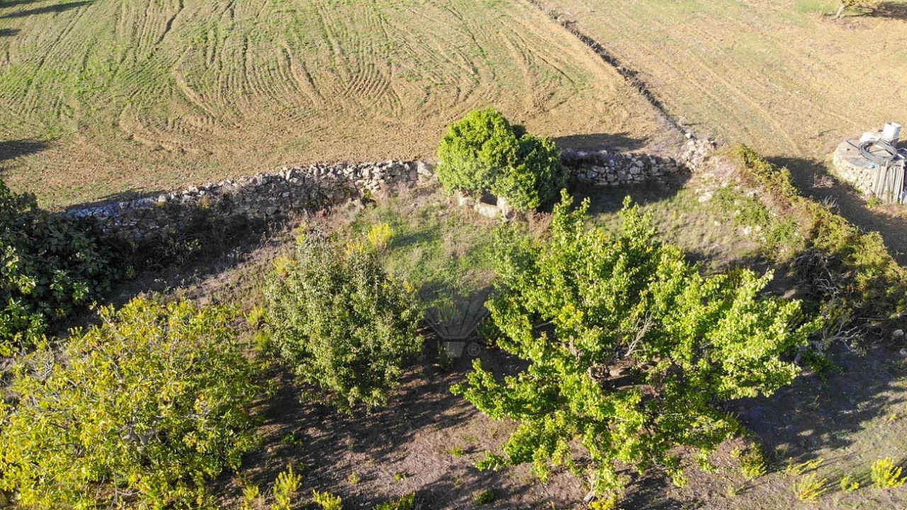 Terreno para Venda em Alhandra, São João dos Montes e Calhandriz Foto 18