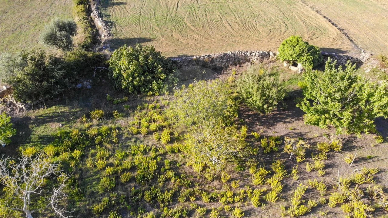Terreno para Venda em Alhandra, São João dos Montes e Calhandriz Foto 17