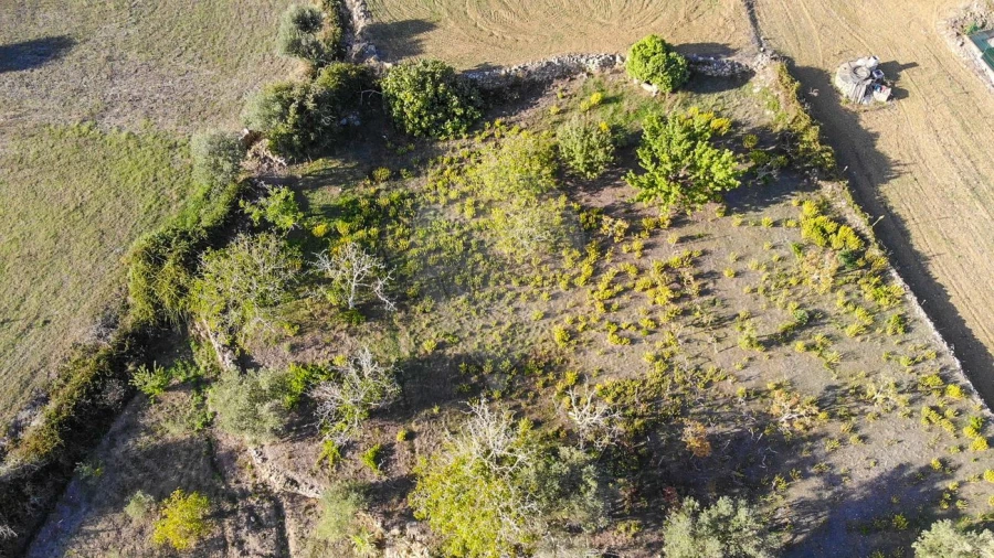 Terreno para Venda em Alhandra, São João dos Montes e Calhandriz Foto 16