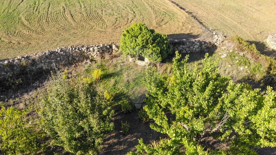 Terreno para Venda em Alhandra, São João dos Montes e Calhandriz Foto 19
