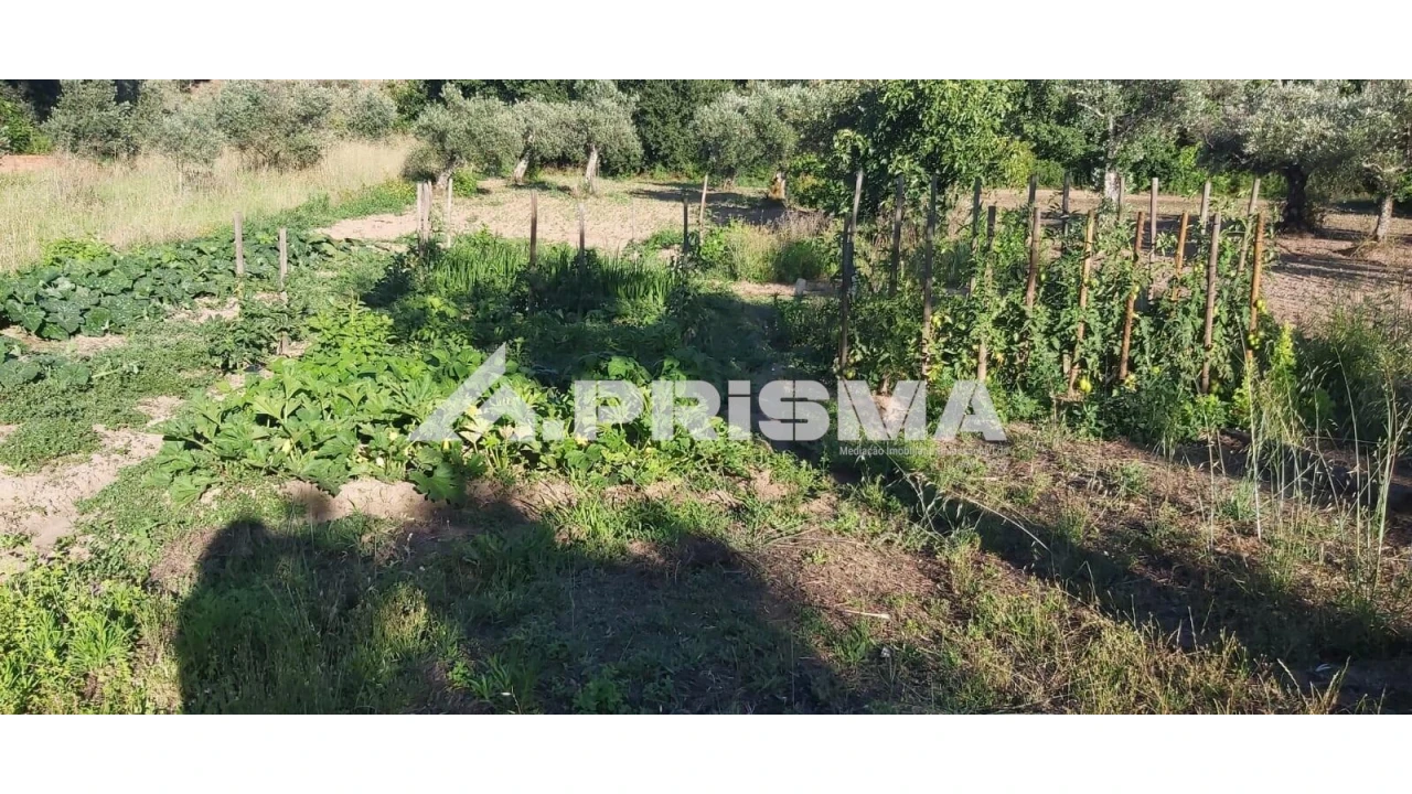 Terreno para Venda em Póvoa de Rio de Moinhos e Cafede Foto 7