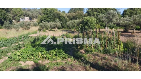 Terreno para Venda em Póvoa de Rio de Moinhos e Cafede