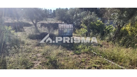 Terreno para Venda em Póvoa de Rio de Moinhos e Cafede