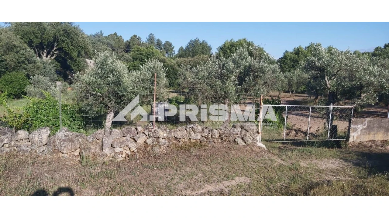 Terreno para Venda em Póvoa de Rio de Moinhos e Cafede Foto 8