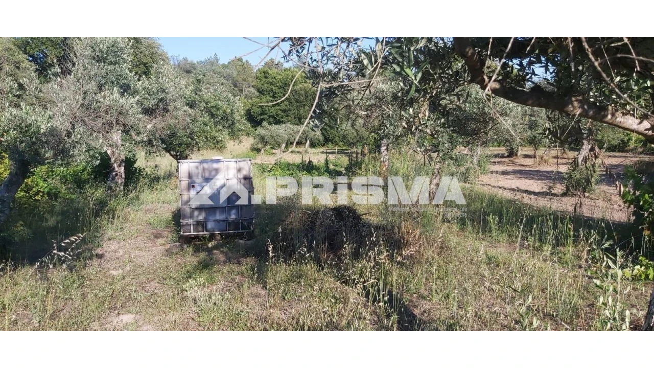 Terreno para Venda em Póvoa de Rio de Moinhos e Cafede Foto 3