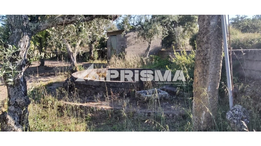 Terreno para Venda em Póvoa de Rio de Moinhos e Cafede Foto 10