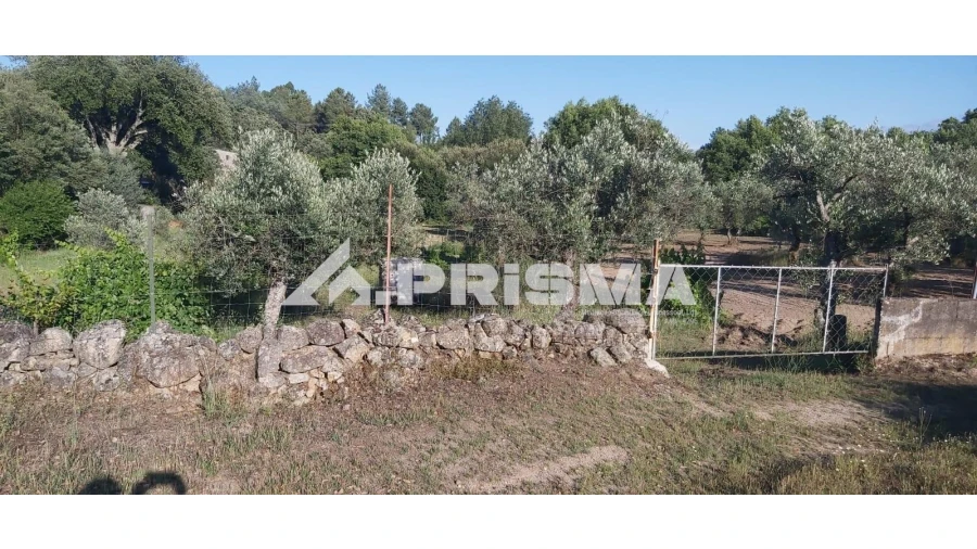 Terreno para Venda em Póvoa de Rio de Moinhos e Cafede Foto 8