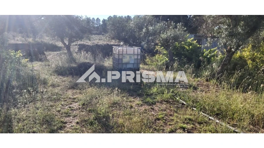 Terreno para Venda em Póvoa de Rio de Moinhos e Cafede Foto 6