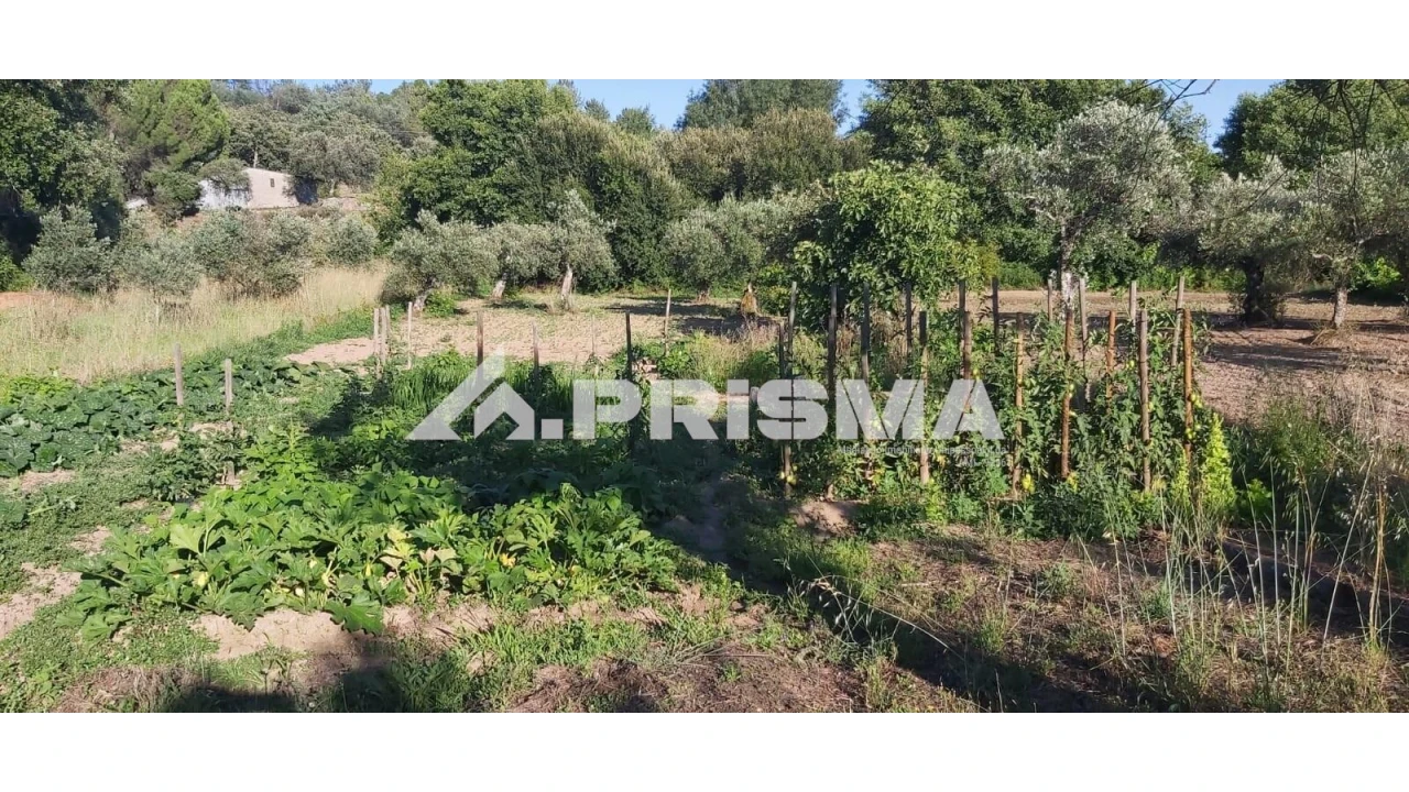 Terreno para Venda em Póvoa de Rio de Moinhos e Cafede Foto 1