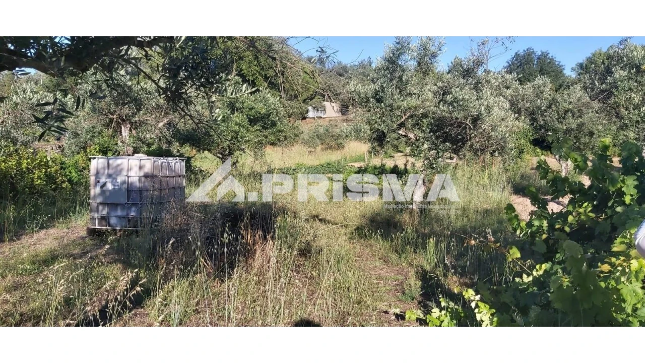 Terreno para Venda em Póvoa de Rio de Moinhos e Cafede Foto 5